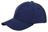 Navy (PMS 533c) / navy