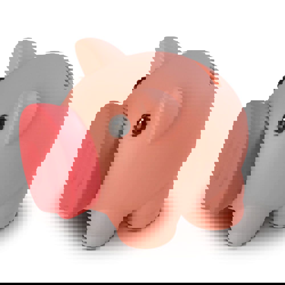 Little piggy swientie - piggy bank - Pink