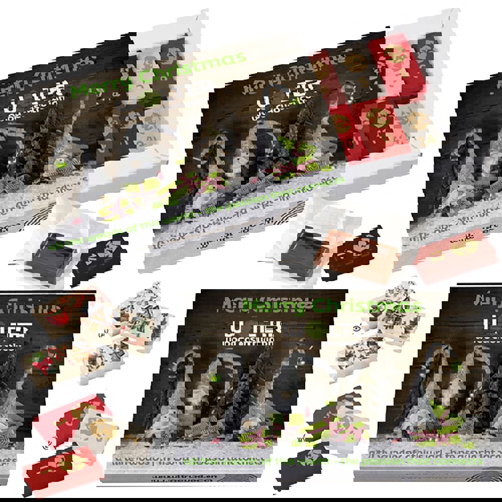 Advent box with 24 numbered chocolates