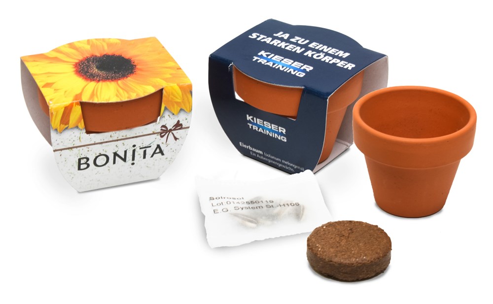 Terracotta pot klein, Peterselie