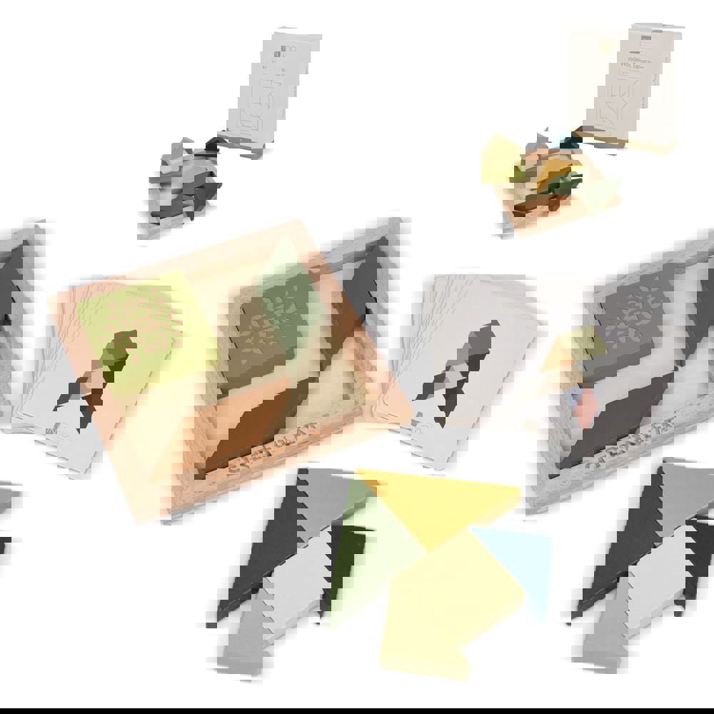 InSideOut Wooden Tangram think IQ puzzle