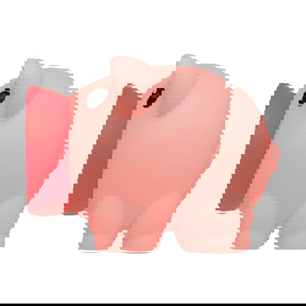 Little piggy swientie - piggy bank