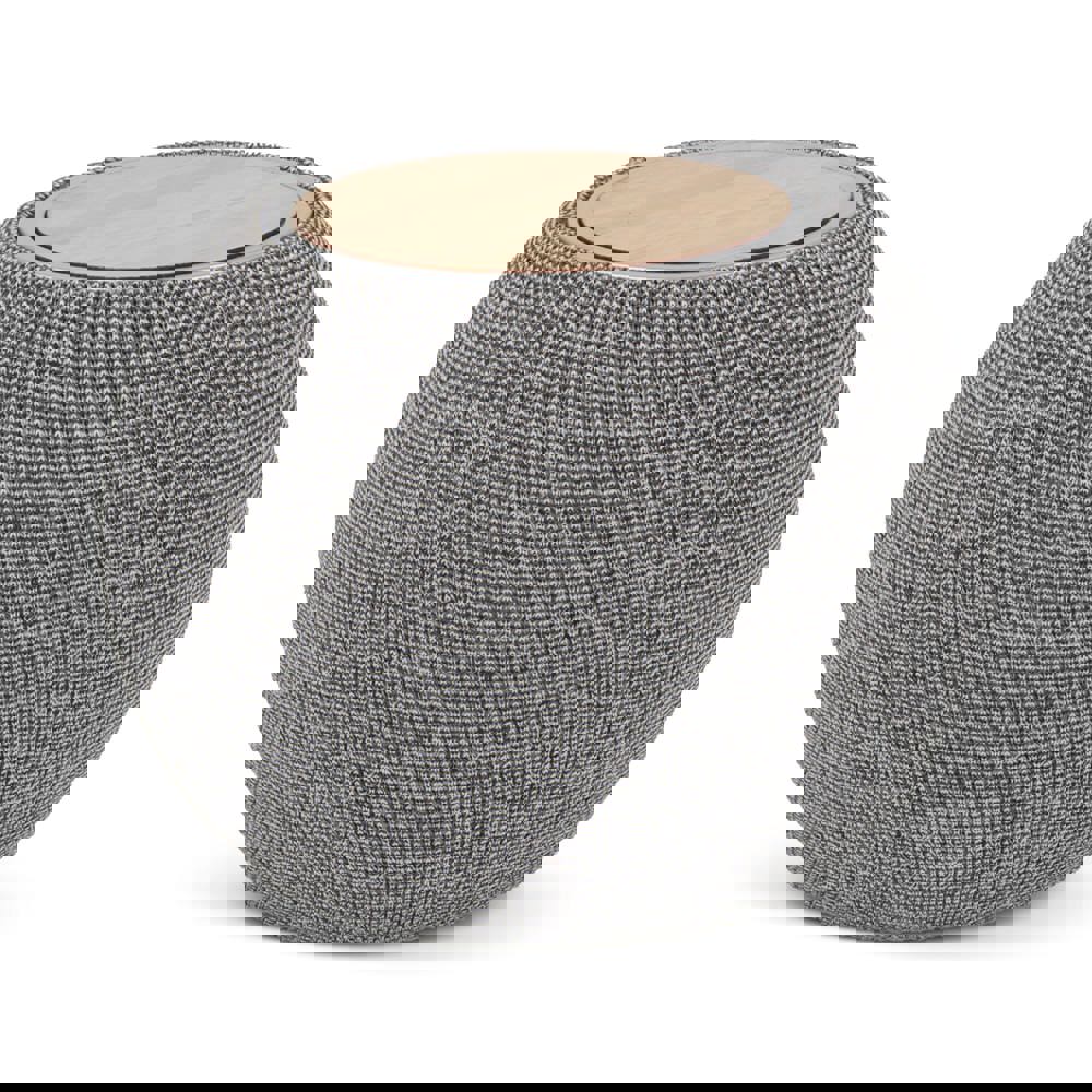 5W Speaker &amp; 15W wireless charger R_PET &amp; Bamboo