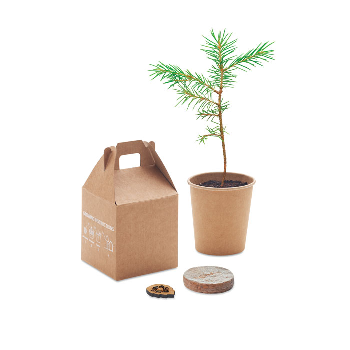 GROWTREE™ - Pine tree set