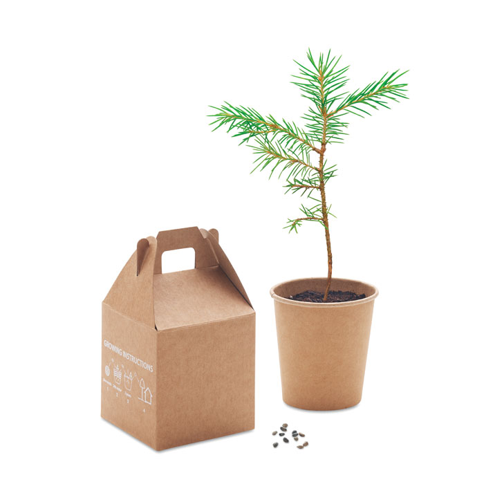 GROWTREE™ - Pine tree set