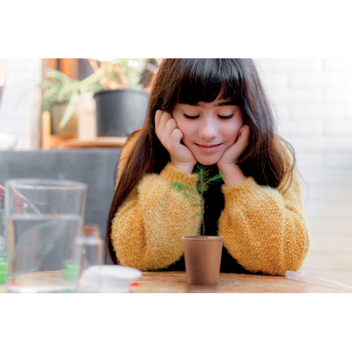 GROWTREE™ - Pine tree set