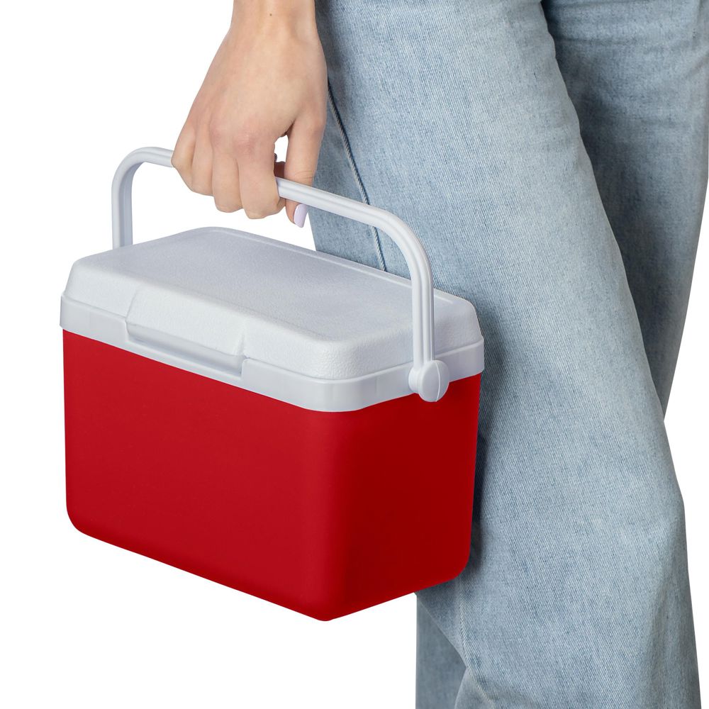 Cooler box 4 liter Sunkissed