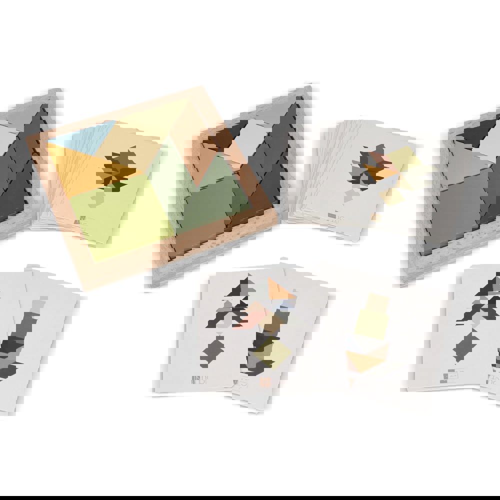 InSideOut Wooden Tangram think IQ puzzle