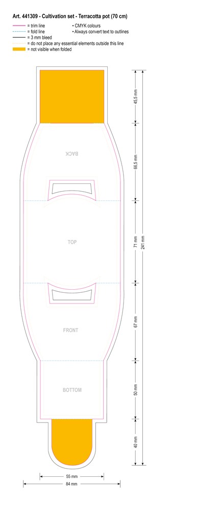 Terracotta pot, white daisy
