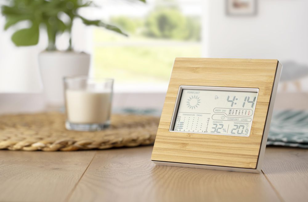 Bamboo weather station Lia