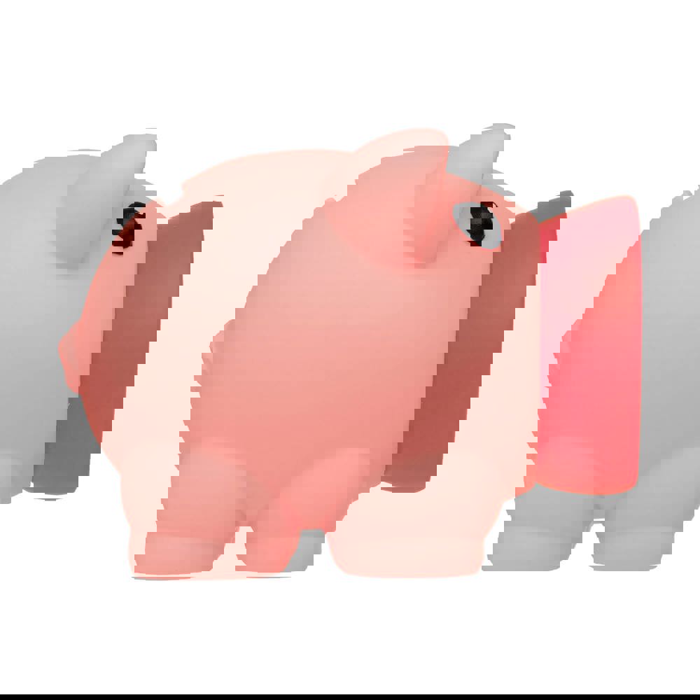 Little piggy swientie - piggy bank