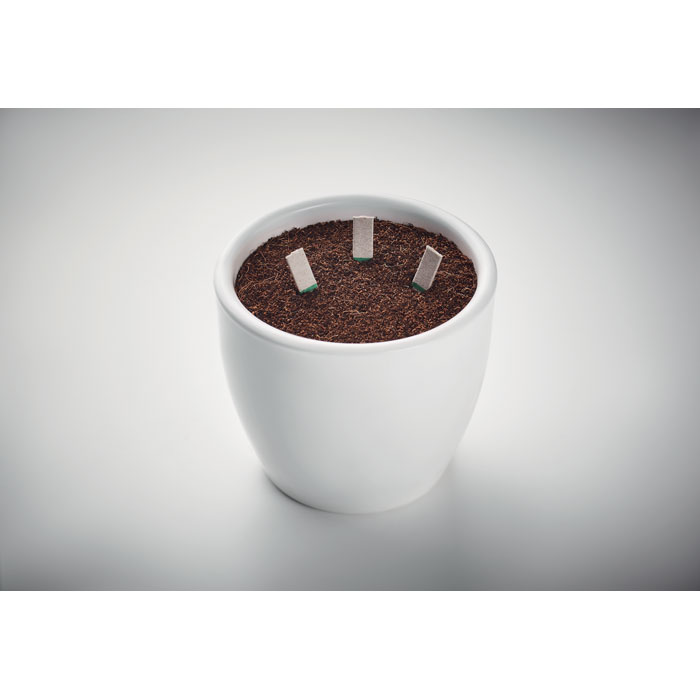 LEYTI - Stokjes kruidenzaden