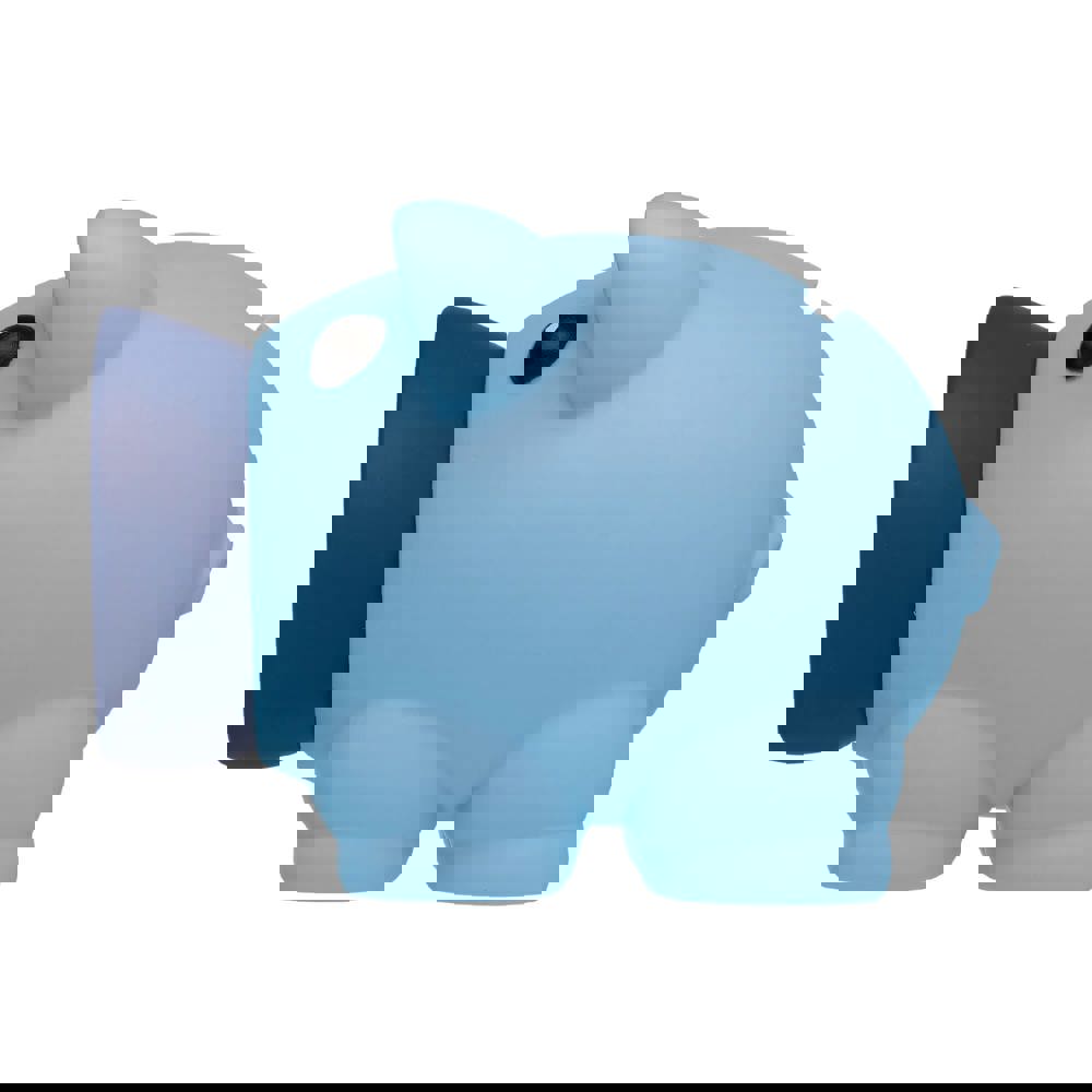 Little piggy swientie - piggy bank